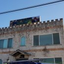 힐링독아카데미 이미지