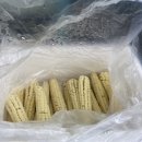 (주)남악천년주유소 | 입 댓발 나온 날엔 짬뽕 탕수육이 최고지!｜7월 4주 주간일기