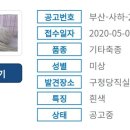 부산야생동물치료센터 이미지