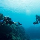 비히클프로 이미지