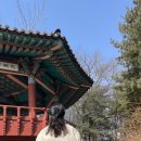 꿈마루도서관 이미지