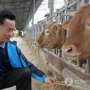 청석농장 이미지