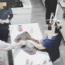 청원동물병원 이미지