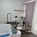 몽이 애견샵 이미지