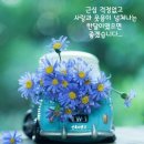 스프링폴 이미지