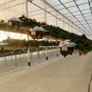 연곡농장 이미지