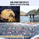 군서면 동계마을회관 | 세상에서 가장 차갑고 뜨거운 얼음 위 하룻밤 안동 대사리 빙박