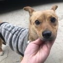 군자파출소 이미지