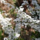 의인농장 이미지