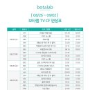 인셀덤 초이