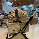 강남펫스타일 | 2025 케이펫페어 서울 코엑스 관람 후기