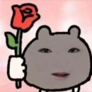 뉴콩노래연습장 | 제 생일 선물은 마에다 리쿠로 부탁드려요 ② : 생일선물 후기