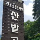 지리산산밭골