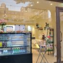 펫 소울 메이트 이미지