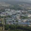 제약단지로 이미지