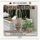 [평택 테라리움 원데이클래스] 특별한 집들이 선물 만들기 4월 팝업추천 식목일이벤트!!