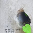 행복의 문이 이미지