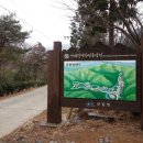 칠천도편백숲 | 남해 편백 자연휴양림 여행 후기