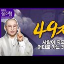 불교의 "49재" 총정리❗ 이미지