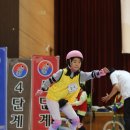 사계절푸른솔태권도교육관 이미지