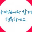 타파웨어 상록수 이미지