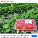 와동행정복지센터 옆 농협365 | 2025년 3월 7일 ~ 9일 완주 삼례딸기 축제 후기, 입장료, 인근맛집, 숙박시설, 사진명소