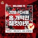 FC서울 홈개막전 이미지