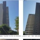 더 포레스트 이미지