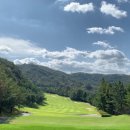 떼제베CC(대중제) 이미지