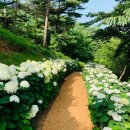 당진문화누리