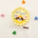 몽몽드림 이미지