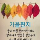 군산시니어클럽 이미지