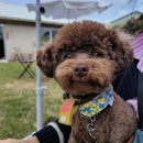 창꼬 더 카페 이미지