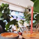 마스터 당구 카페 이미지