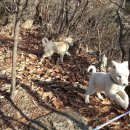 태평농장 이미지