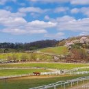 원흥목장 이미지