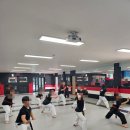 다부진 합기도 이미지