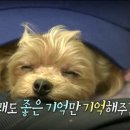 회원종합동물병원 이미지