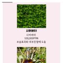 리프레쉬 이미지