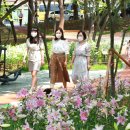 그린웨이 이미지