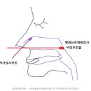 마로니에이비인후과의원 이미지