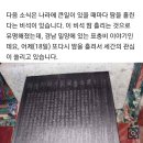 바이오 섹터 급락중 이미지