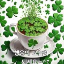 조약돌사랑☆소미 *원곡자:장민* 이미지