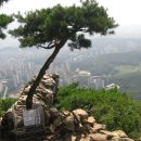 다리목농장 이미지