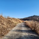 용두마을회관 내 Daum카페