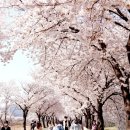 달창저수지 이미지