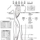 ● 장부명당경혈학(臟腑明堂經穴學) - 족궐음간경(足厥陰肝經) 이미지