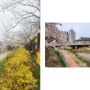 채원당(기차마을한옥) | [국내] 안 무서운 '곡성' 여행 후기