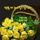 강원보청기청각연구소 이미지