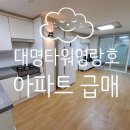 속초의아침공인중개사사무소 이미지